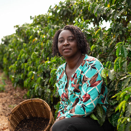 Third Space - Coffee Blend